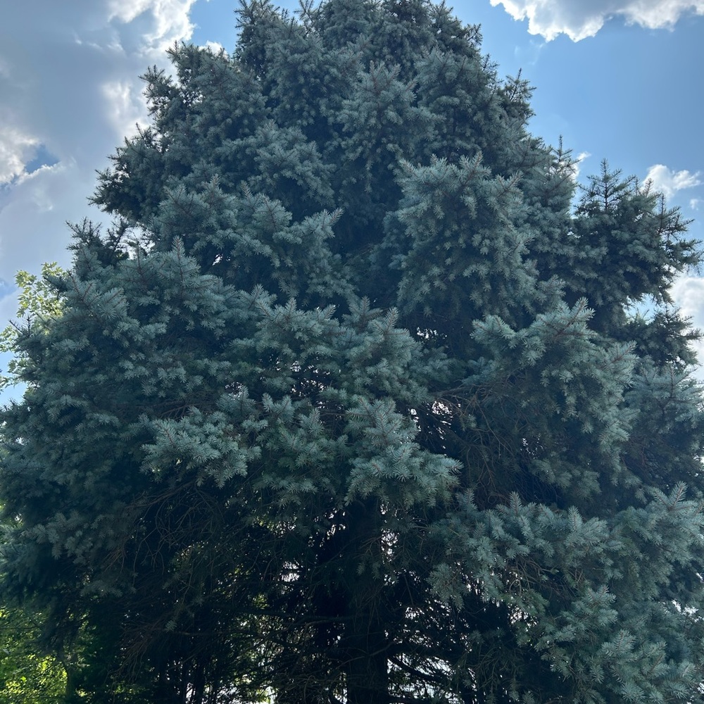 Meet your Posher, Daniela